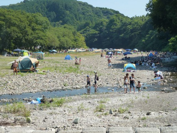 巾着田