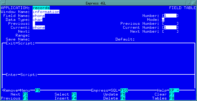 Figure 4-33 Defining the phone field