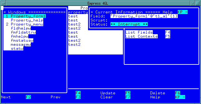 Figure 9-19 Windows Window